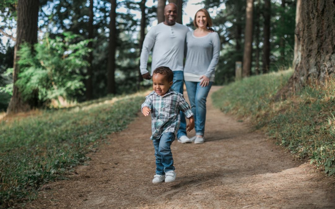 Life Choices and Family Law